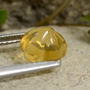 Citrino Mel amarelo Natural 1.61ct, Flor cortada, Transparente
