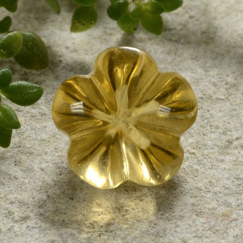 2.24ct Natural Mel amarelo Citrino, Flor cortada, Transparente