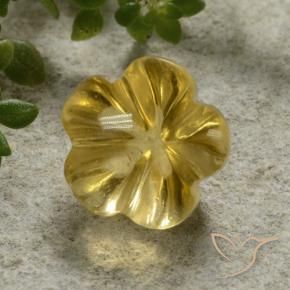 Citrino Mel amarelo Natural 2.24ct, Flor cortada, Transparente