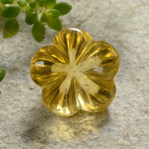 2.18ct Natural Amarelo escuro Citrino, Flor cortada, Transparente