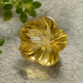 Citrino Amarelo escuro Natural 2.18ct, Flor cortada, Transparente