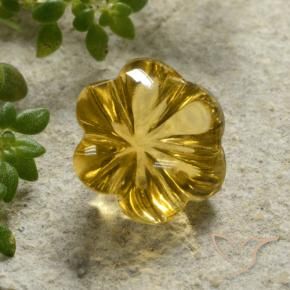 Citrino Mel amarelo Natural 2.39ct, Flor cortada, Transparente