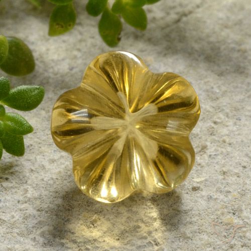 2.15ct Natural Mel amarelo Citrino, Flor cortada, Transparente