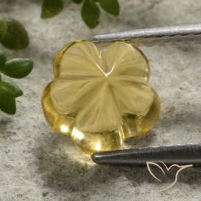 Citrino Mel amarelo Natural 2.15ct, Flor cortada, Transparente