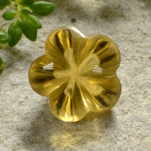 2.52ct Natural Mel amarelo Citrino, Flor cortada, Transparente