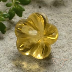 Citrino Mel amarelo Natural 2.52ct, Flor cortada, Transparente