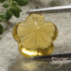 Citrino Mel amarelo Natural 2.52ct, Flor cortada, Transparente