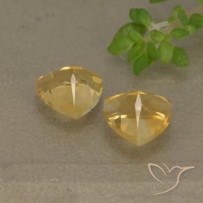 Pedras preciosas de Citrino Dourado natural de 1.46 ct, Trilhão, VVS-VS