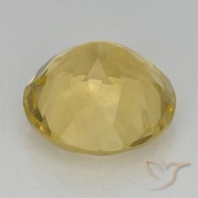 Citrino Dourado Natural 5.71ct, Redondo, VVS