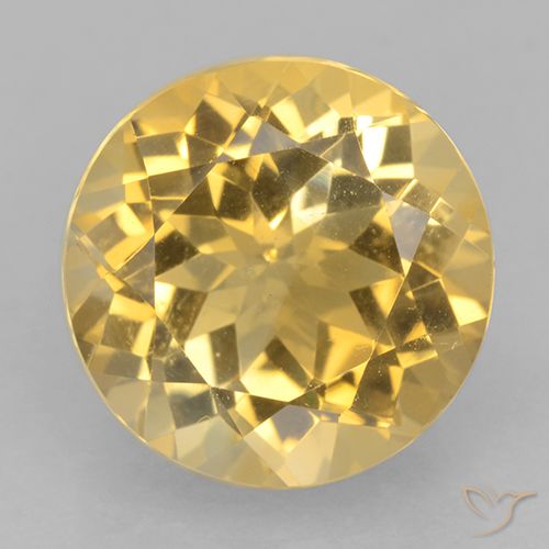 5.99ct Natural ouro brilhante Citrino, Redondo, VVS