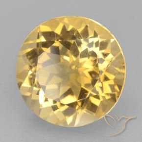 Citrino ouro brilhante Natural 5.99ct, Redondo, VVS