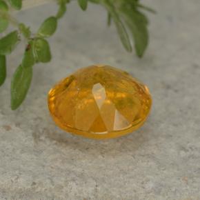 Clinohumita Amarelo dourado Natural 1.35ct, Corte Redondo, VS-SI