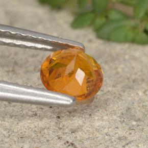 Clinohumita laranja natural 0,49ct, corte redondo, VS-SI