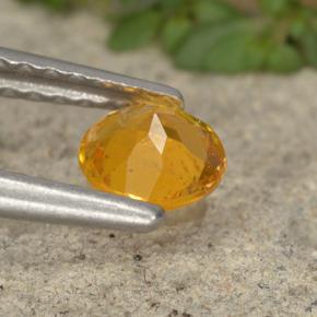 Clinohumita amarelo natural 0,42ct, corte redondo, VS-SI