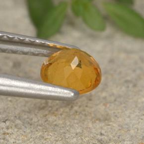 Clinohumita Amarelo alaranjado Natural 0.44ct, Corte Redondo, VS-SI