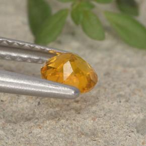 Clinohumita Amarelo alaranjado Natural 0.37ct, Corte Redondo, VS-SI