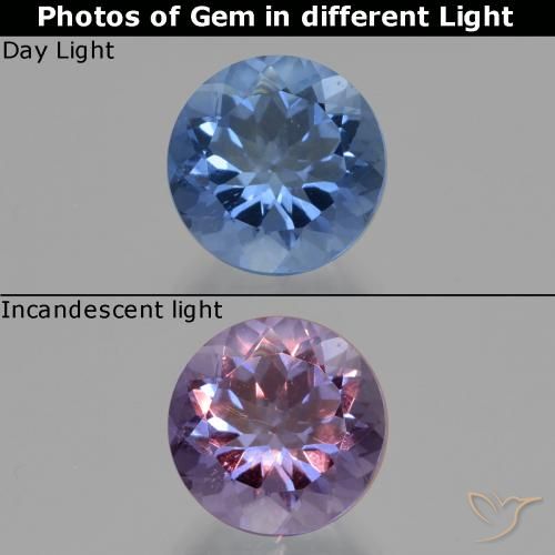 11.08ct Natural Azul marinho intenso Fluorita que muda de cor, Redondo, VS