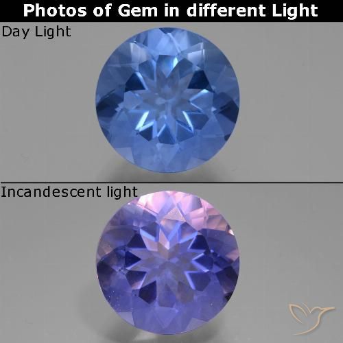 11.61ct Natural Azul escuro Fluorita que muda de cor, Redondo, VVS-VS