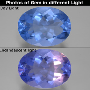 Fluorita de mudança de cor azul egípcio natural 20,76ct, corte oval, VVS