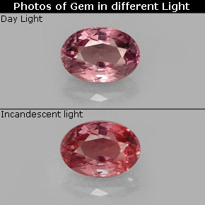 Granada de mudança de cor multicolorido natural 0,61ct, corte oval, VS