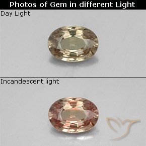0.52ct Natural Marrom dourado Granada que muda de cor, oval, VS-SI