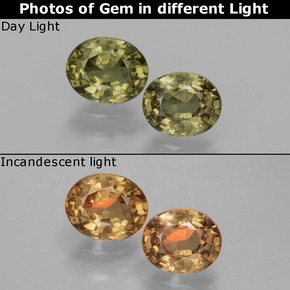 Pedras preciosas de granada de mudança de cor multicolorido natural de 1,41 ct, corte oval, VS