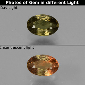 Granada de mudança de cor amarelo natural 0,63ct, corte oval, VS