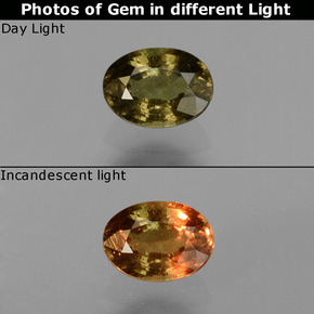 Granada de mudança de cor multicolorido natural 0,61ct, corte oval, VS