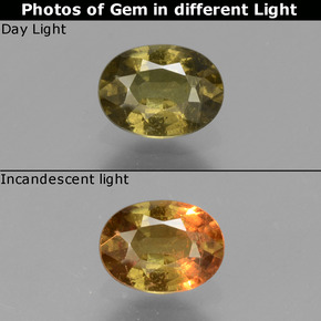 Granada de mudança de cor multicolorido natural 0,73ct, corte oval, VS
