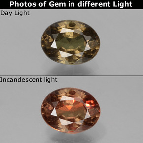 Granada de mudança de cor marrom natural 0,89ct, corte oval, VS