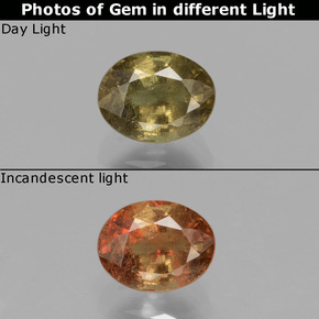 Granada de mudança de cor marrom natural 0,80ct, corte oval, VS-SI