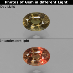Granada de mudança de cor multicolorido natural 0,75ct, corte oval, VS