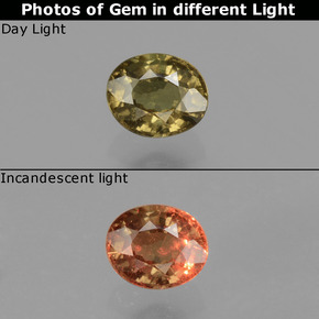 Granada de mudança de cor multicolorido natural 0,57ct, corte oval, VS