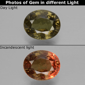 Granada de mudança de cor mudança de cor natural 1,51ct, corte oval, VS-SI