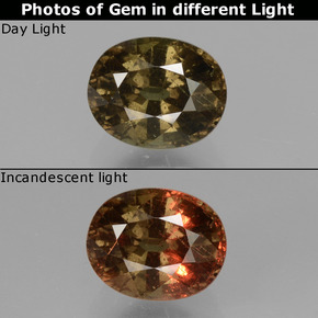 Granada de mudança de cor multicolorido natural 1,73ct, corte oval, VS-SI