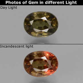 Granada de mudança de cor mudança de cor natural 1,13ct, corte oval, VS-SI
