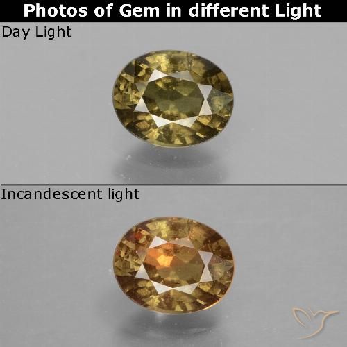 0.85ct Natural Castanho médio-escuro Granada que muda de cor, oval, VS-SI