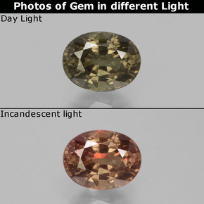 Granada que muda de cor Marrom escuro Natural 0.98ct, Corte Oval, VS