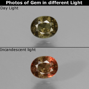 Granada de mudança de cor multicolorido natural 0,53ct, corte oval, VS