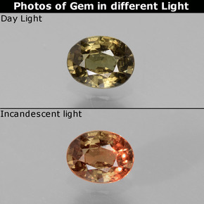 Granada de mudança de cor marrom natural 0,77ct, corte oval, VS