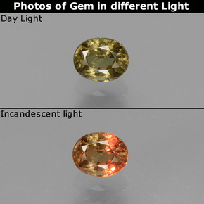 Granada de mudança de cor multicolorido natural 0,55ct, corte oval, VS