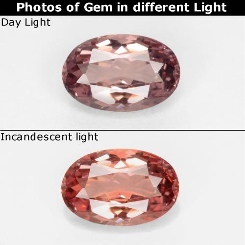 Granada de mudança de cor marrom natural 0,57ct, corte oval, VVS-VS