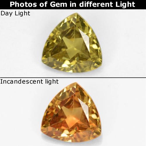 Granada que muda de cor Amarelo dourado Natural 0.70ct, Trilhão, VS