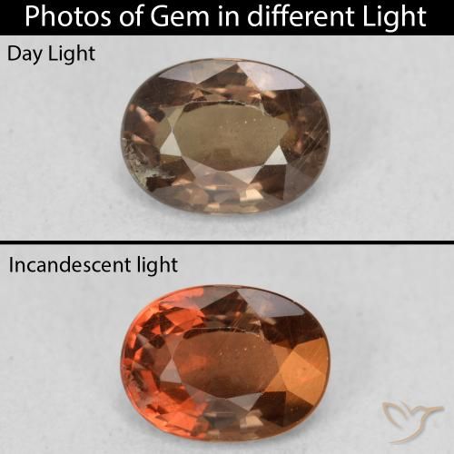 1.16ct Natural Marrom escuro Granada que muda de cor, oval, VS
