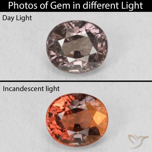 1.00ct Natural Marrom escuro Granada que muda de cor, oval, VS