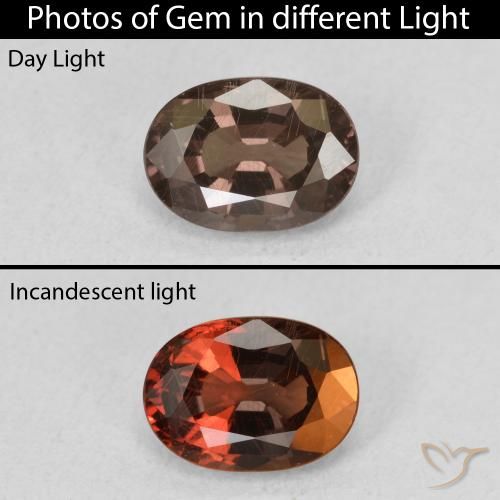 1.34ct Natural Marrom escuro Granada que muda de cor, oval, VS