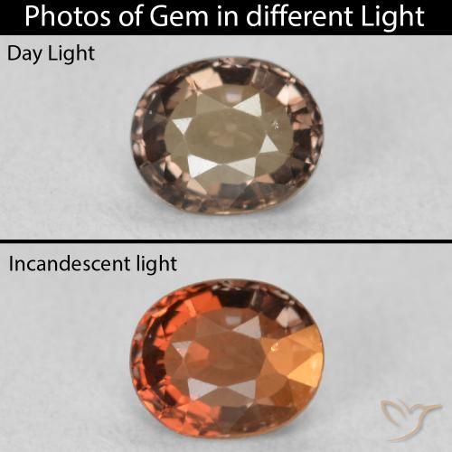 0.80ct Natural Marrom escuro Granada que muda de cor, oval, VVS