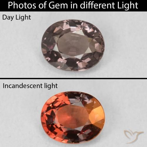 1.03ct Natural Hickory Brown Granada que muda de cor, oval, VVS