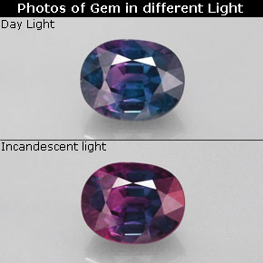 Safira de mudança de cor multicolorido natural 1,52ct, corte oval, VS