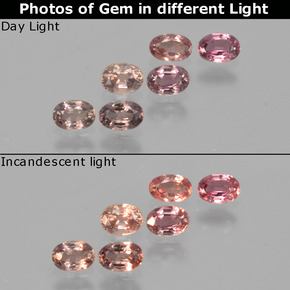 Pedras preciosas de safira de mudança de cor multicolorido natural de 1,49 ct, corte oval, VS